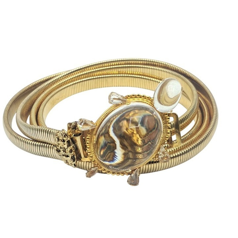Schreiner Turtle Belt Clear Lucite High Domed Gold Tone Slinky Unsigned Vintage - Picture 2 of 7
